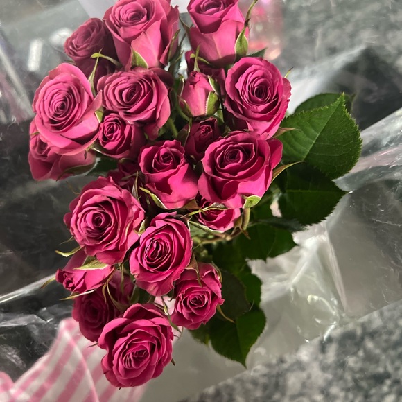 Meet your Posher, Nádia - Picture 9 of 11